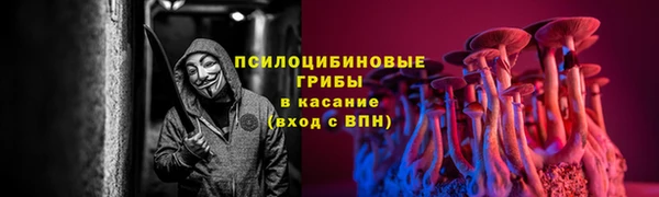 2c-b Саяногорск