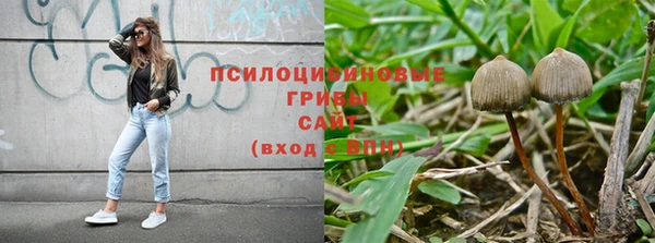 2c-b Саяногорск