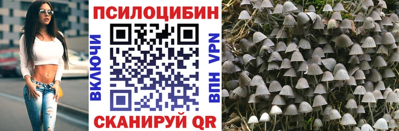 Псилоцибиновые грибы MAGIC MUSHROOMS  купить наркоту  Соль-Илецк 