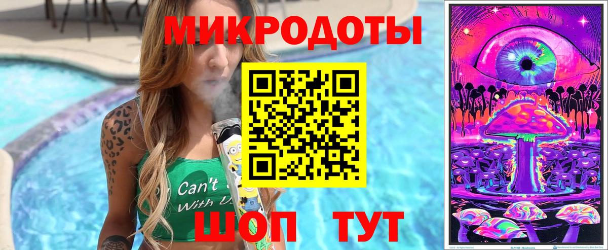Псилоцибиновые грибы Psilocybine cubensis Соль-Илецк