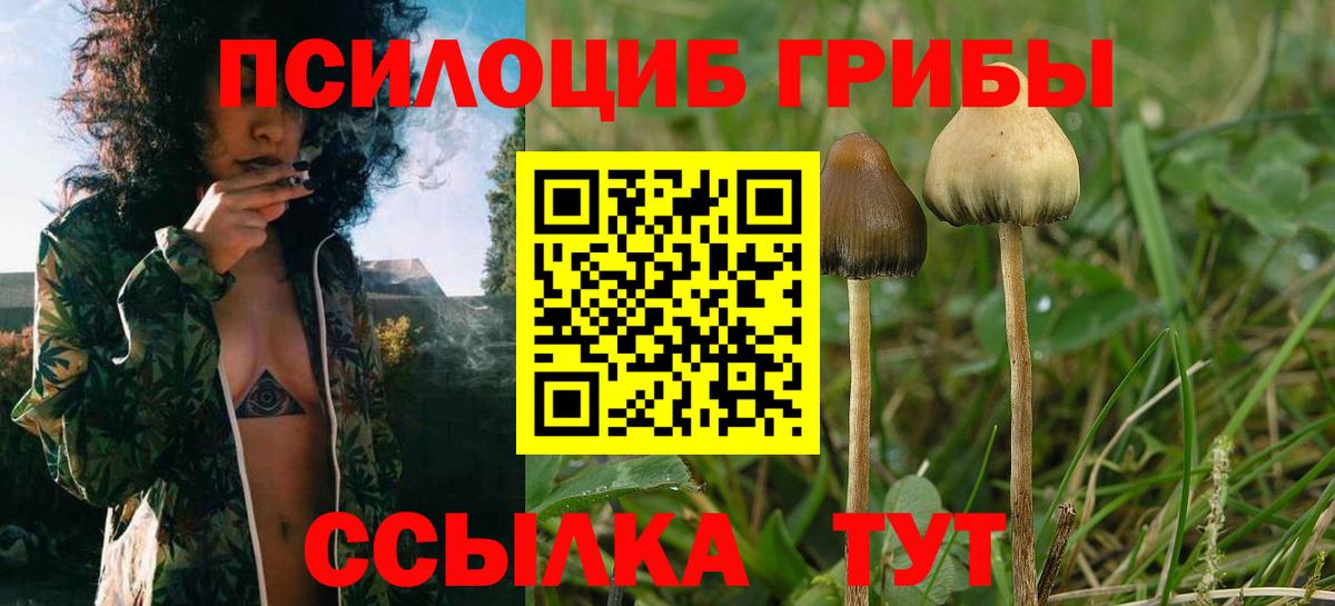 Галлюциногенные грибы мухоморы  Вход с VPN  Галлюциногенные грибы Magic Shrooms  Соль-Илецк 